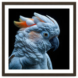 Close Up Of A Cockatoo Parrot Head thumbnail