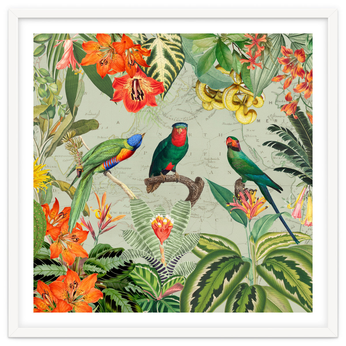 Exotic Parrots Jungle Landscape