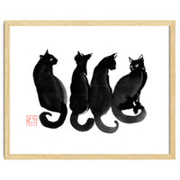 4 Black Cats