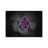 Backyard Flowers No 108 Color Version (Print Only)