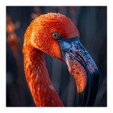 Close Up Flamingo Head Vibrant Orange Plumage (Print Only) thumbnail