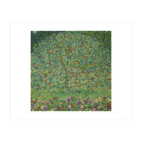 Apple Tree I, 1911 or 1912. Estates of Ferdinand and Adele Bloch-Bauer. (Print Only) thumbnail