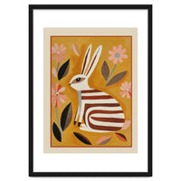 Striped Hare
