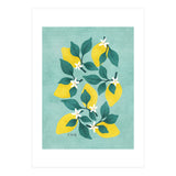 Lemon Blossom (Print Only) thumbnail