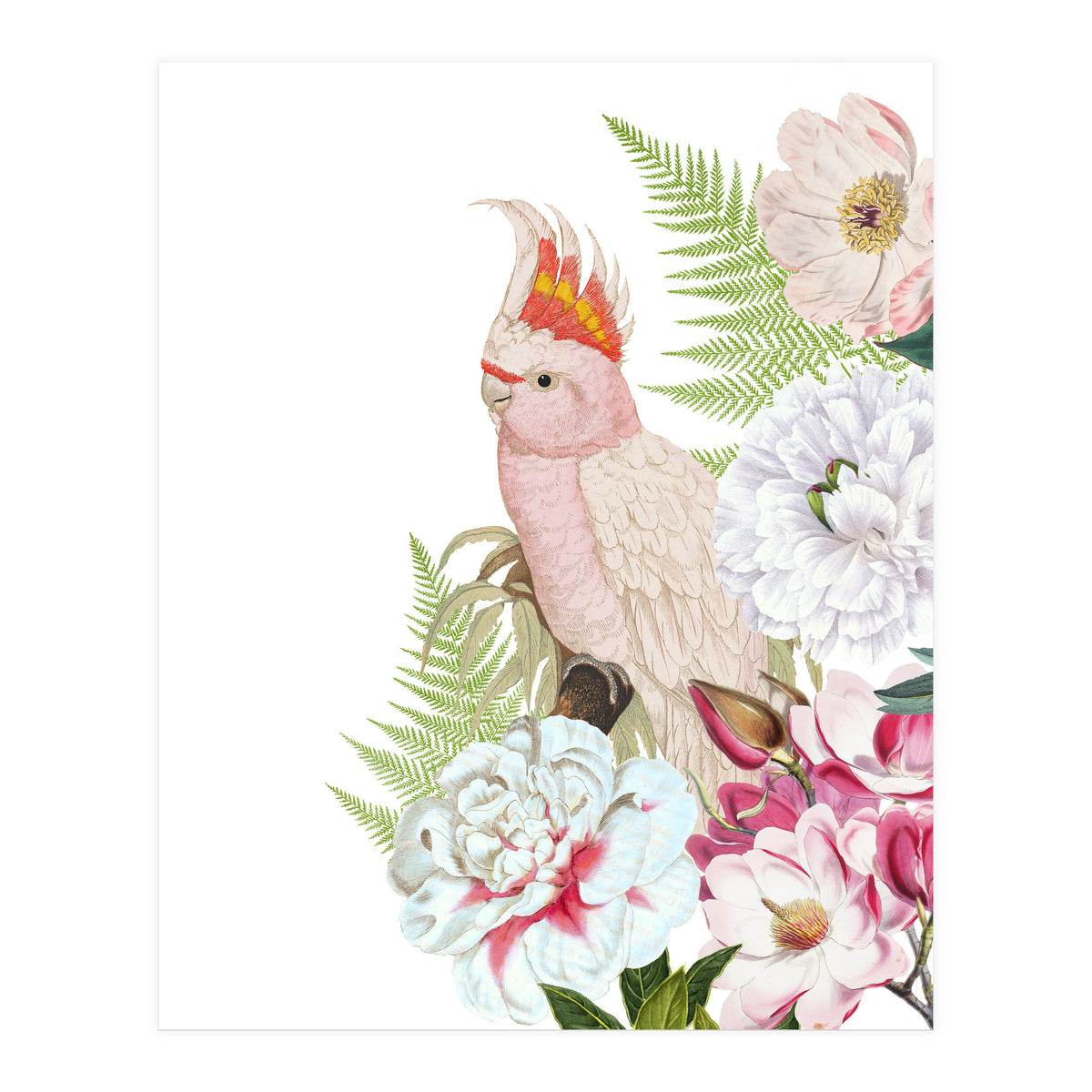 Cockatoo in Flower Jungle  (Print Only)