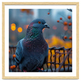 Pigeon With Water Droplets thumbnail