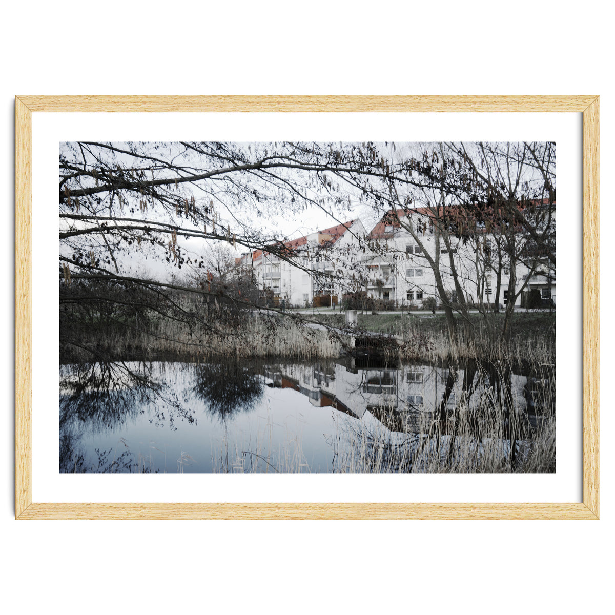 Residential house along the lake