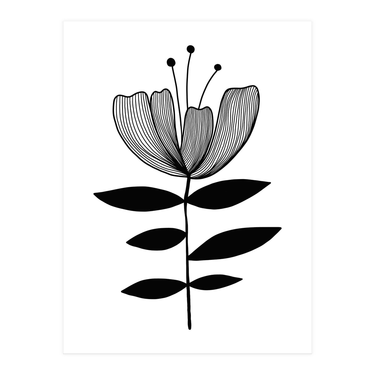 Tulip blossom (Print Only)