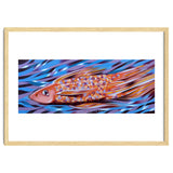 Little fish thumbnail