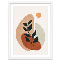 Soft Shapes II