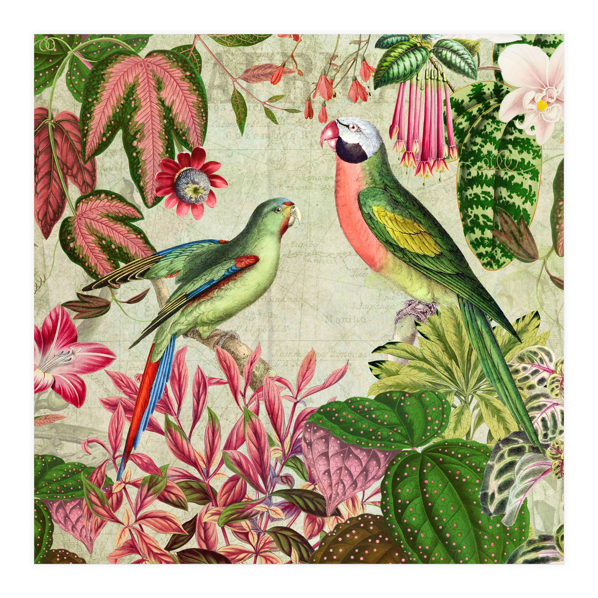 Exotic Lush Rainforest With Colorful Parrots And Flowers (Print Only)