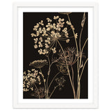 Wildflowers I thumbnail
