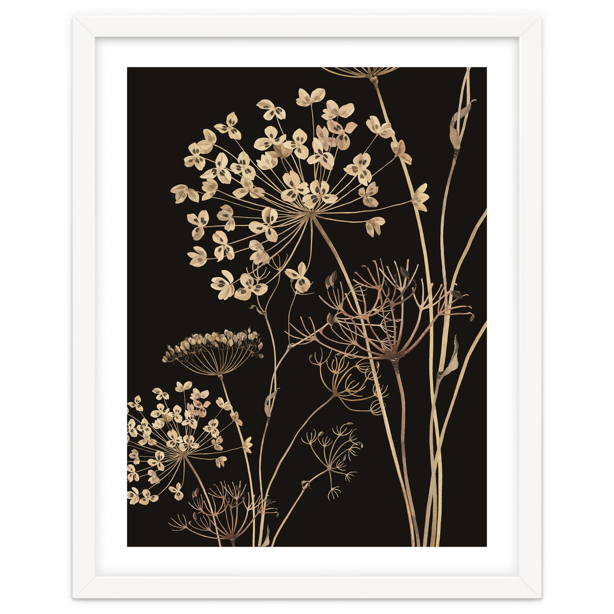 Wildflowers I