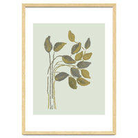 Olivia muted botanical oils