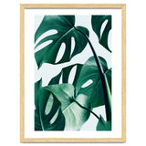 Monstera Tropical Photography Digital Art, Minimal Nature Jungle Botanical Leaves thumbnail