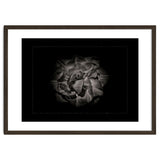 Backyard Flowers In Black And White No 81 with Border thumbnail