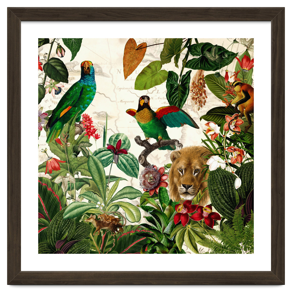 Exotic Lush Jungle And Wild Animals Landscape