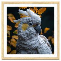 Yellow Crested Cockatoo Portrait Autumn Leaves Dark