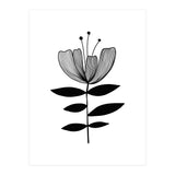 Tulip blossom (Print Only) thumbnail