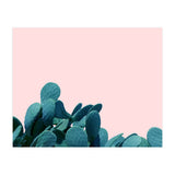 Kaktos (Print Only) thumbnail