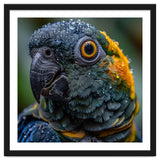 Close Up Of A Wet Macaw Parrot Head thumbnail