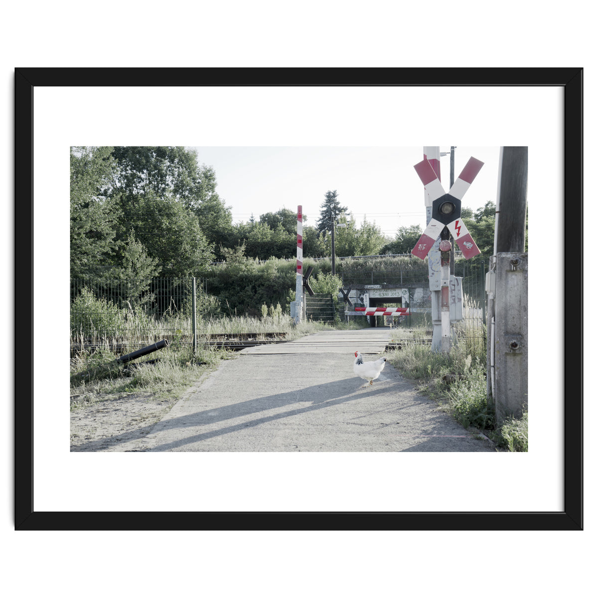 A chicken crossing a railroad