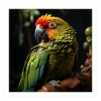 Vibrant Macaw Parrot  (Print Only)