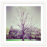 Tree Of Dreams thumbnail
