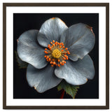 Hellebore | Silver Magic thumbnail