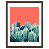 Cactus On Coral thumbnail