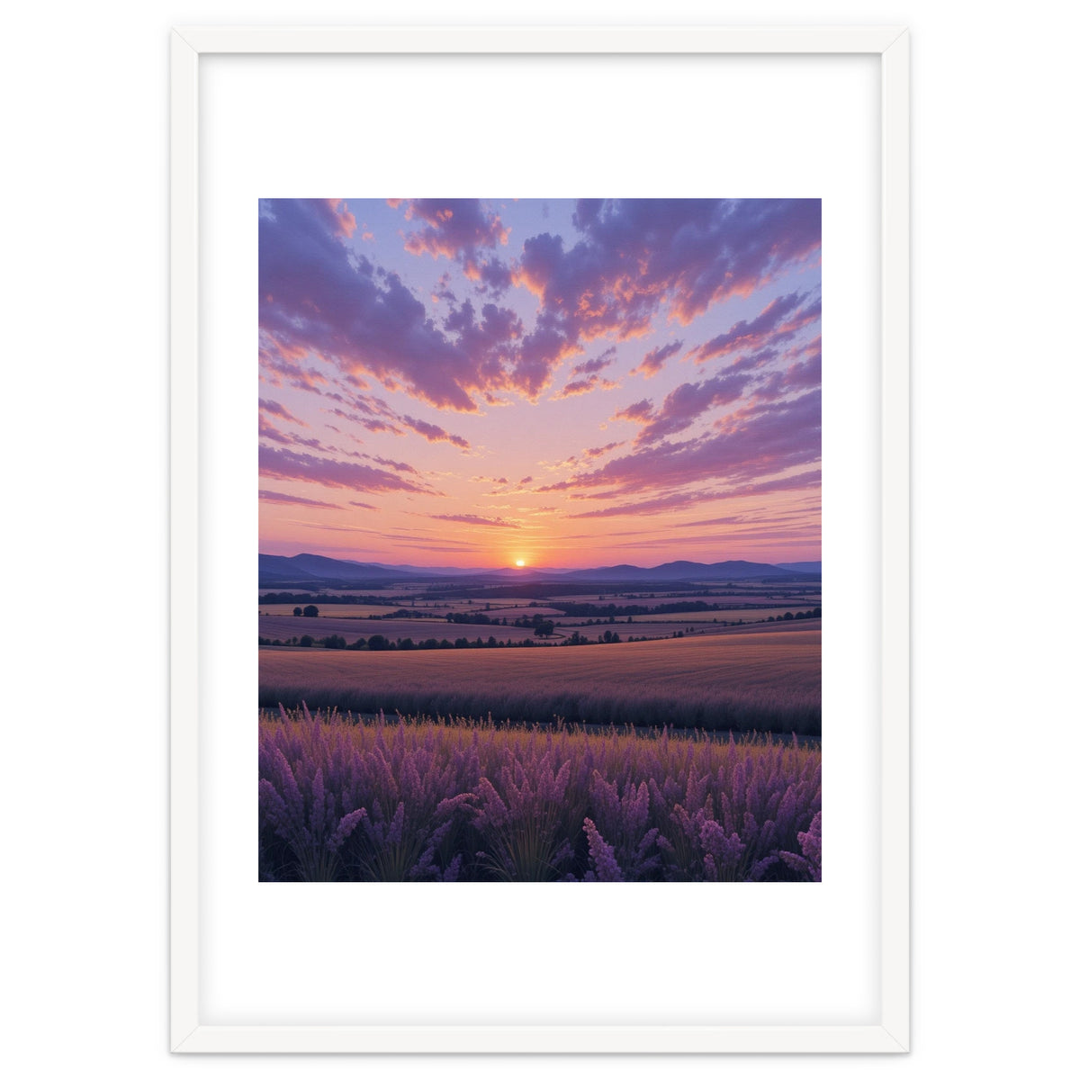 Serene Lavender Fields at Golden Hour Sunset