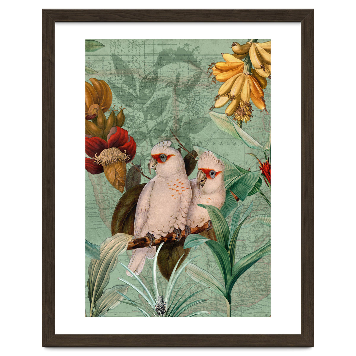 Green Cockatoo Exotic Bird Jungle