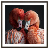 Close Up Of Two Flamingos Nuzzling Together thumbnail