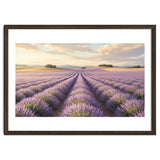 Provençal Sunset: Lavender Field Landscape thumbnail