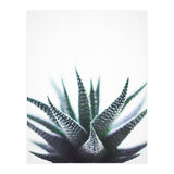 Green Topaz (Print Only) thumbnail