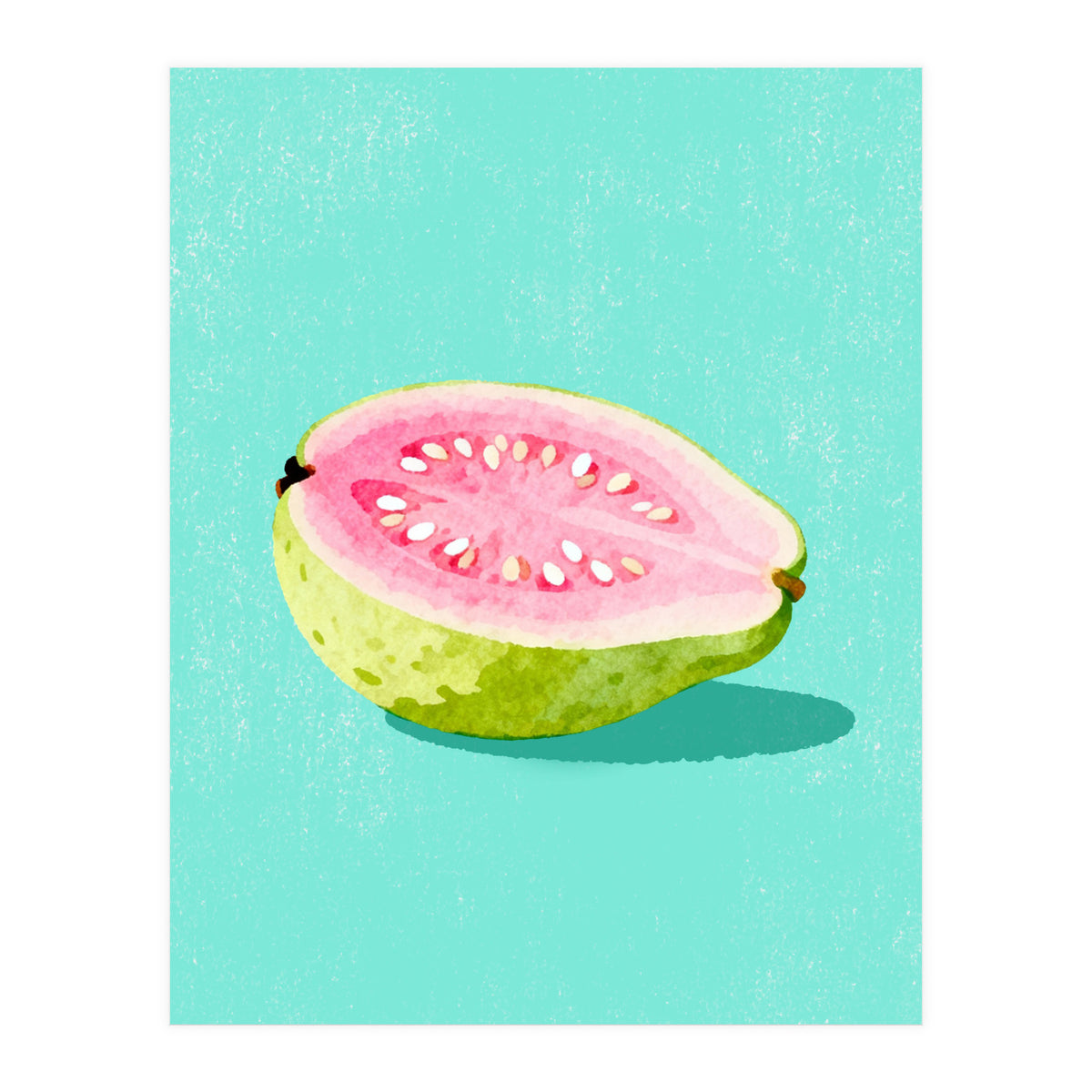 Guava Fruit Illustration (Print Only)