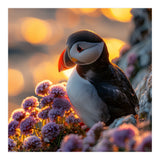 Puffin Bird Amidst Purple Flowers Golden Hour (Print Only) thumbnail