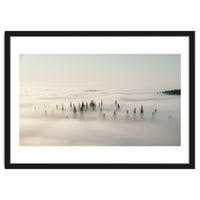 Misty Peaks: Pine Forest Above the Clouds