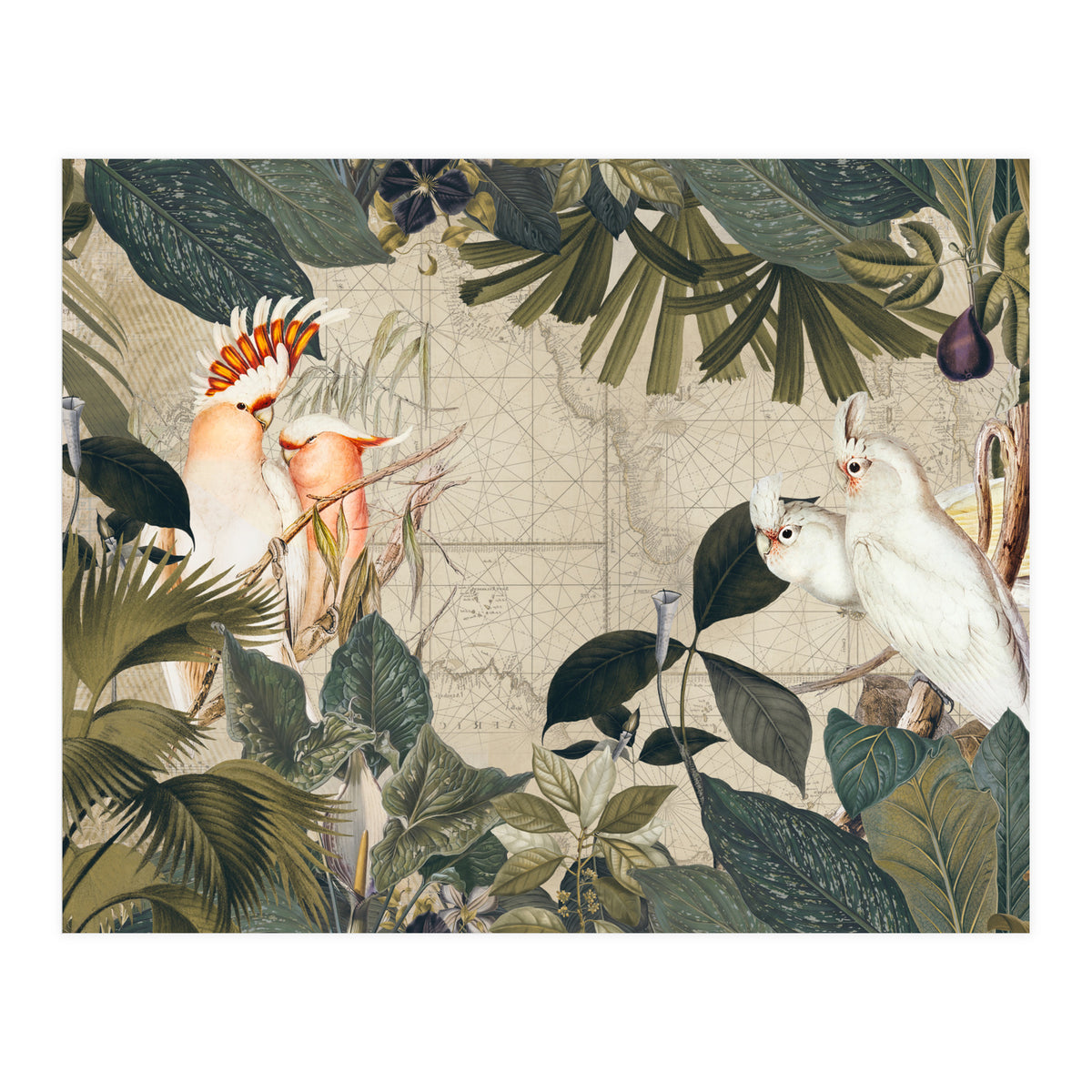 Cockatoo Island (Print Only)