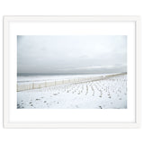 Winter grass in snow beach thumbnail