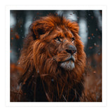 Majestic Lion King Of The Jungle Close Up Portrait (Print Only) thumbnail