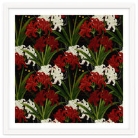 Red and White Spider Lily Flower Print Elegant Botanical Japanese Inspired Floral Artwork
