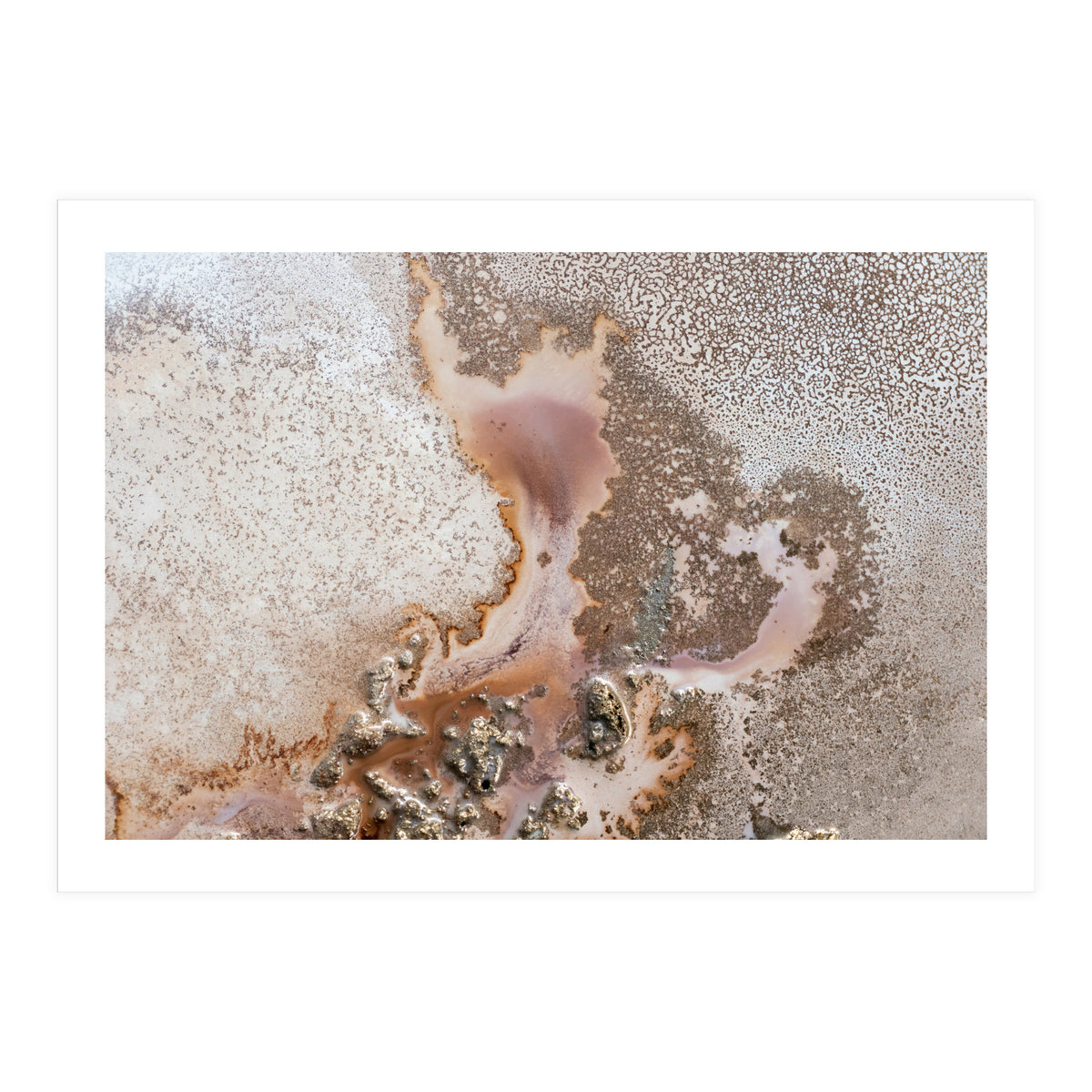 Discovery (Print Only)