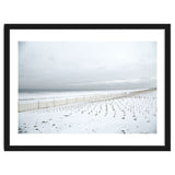 Winter grass in snow beach thumbnail