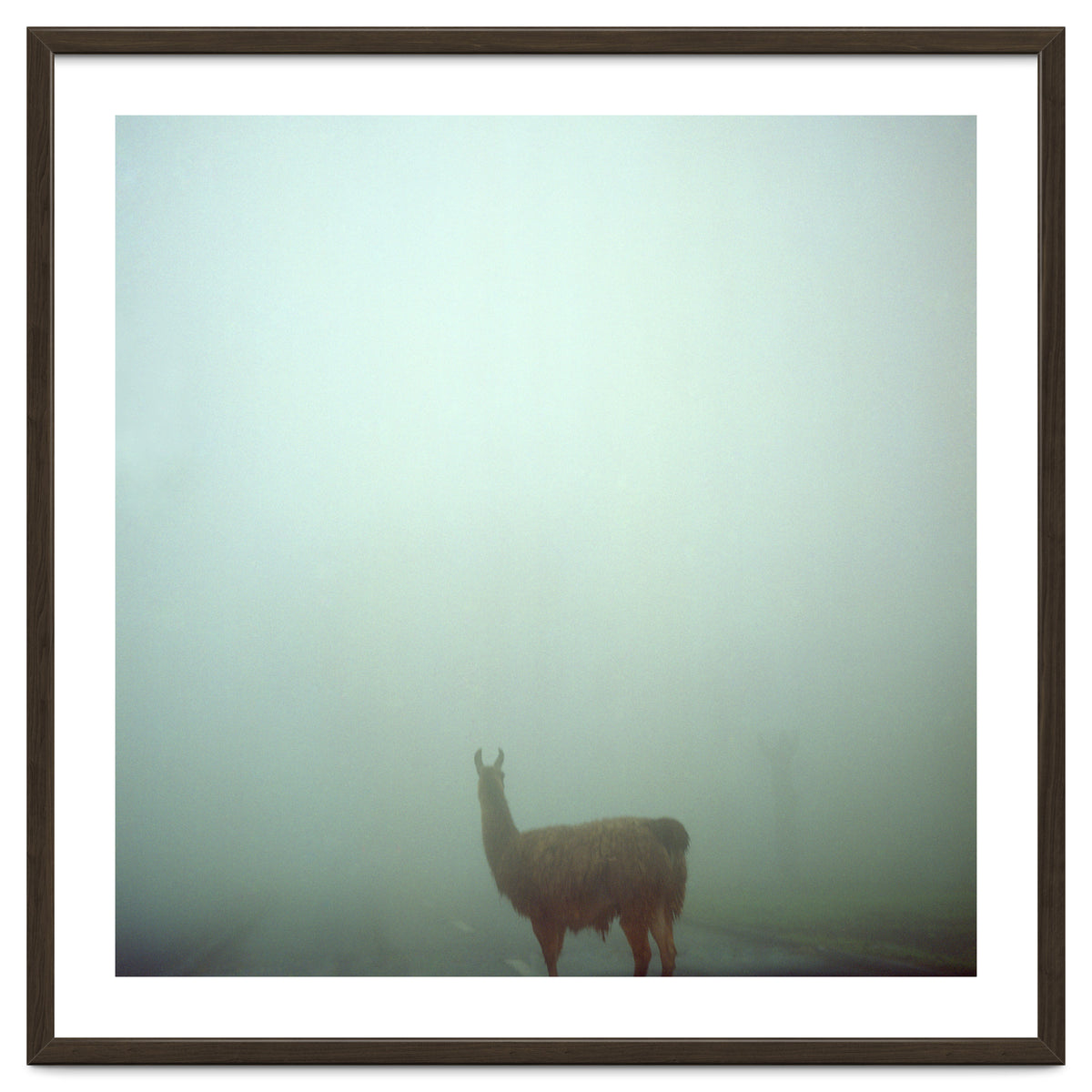 Silence of breath - 04