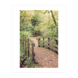 Path To The Bridge (Print Only) thumbnail