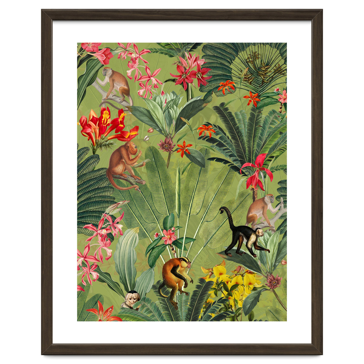 Monkeys In Tropical Jungle Paradise