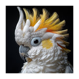 Close Up Cockatoo Portrait Yellow Crested Bird (Print Only) thumbnail