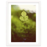 Out of the green thumbnail