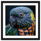 Close Up Portrait Of A Colorful Parrot's Face thumbnail